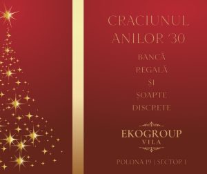 Eko Group Vila: O Călătorie Eleganta în Crăciunul Anilor ’30